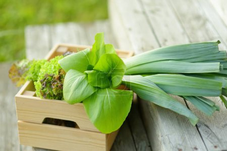 Auf der Holzveranda steht eine Kiste mit frischem Bio-Salat und Grün. Gesunde vegetarische Kost. Kleine lokale Unternehmen. Landwirtschaft. Ernte.