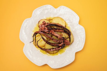 Foto de Plato portugués pulpo con patata en plato blanco grande - Imagen libre de derechos