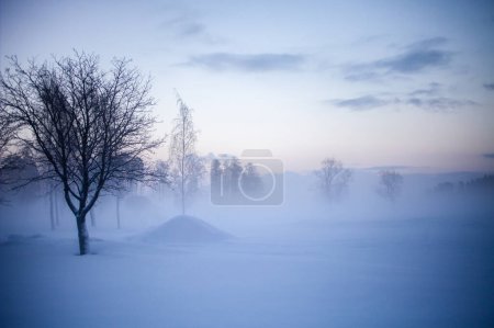 Foto de Hermosa puesta de sol nebulosa en invierno país de las maravillas Finlandia - Imagen libre de derechos