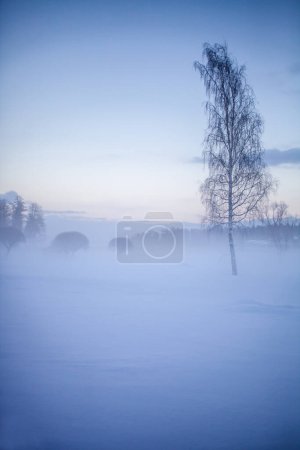 Photo for Beautiful foggy sunset in winter wonderland Finland - Royalty Free Image