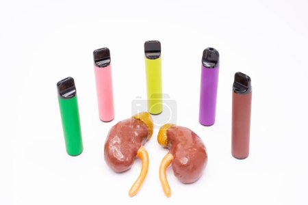 Electronic cigarettes stand around two kidneys, showing the destructive effect on human health. For use in advertising, presentations, scientific works.