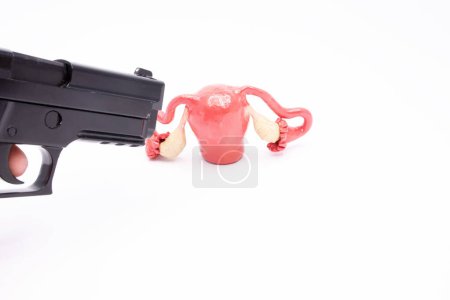 Téléchargez les photos : Gunshot wound to uterus with ovaries concept photo. A hand with gun aims at the anatomical figure of the uterus on a white background. Photo for surgery, military surgery and forensic medicine. - en image libre de droit