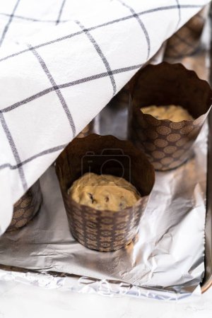 Téléchargez les photos : Pâte à lever dans des doublures de papier pour faire cuire mini pain de Pâques kulich. - en image libre de droit