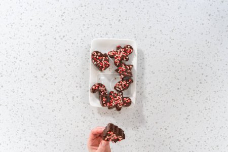 Flat lay. Freshly made Christmas cookie-cutter peppermint fudge on the serving plate.
