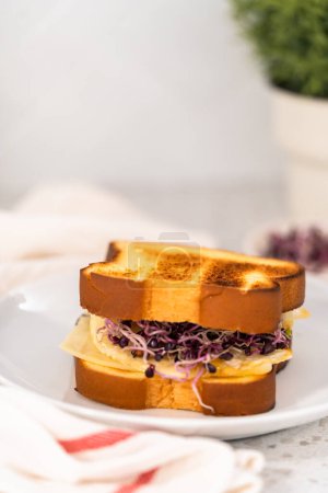 Téléchargez les photos : Petit déjeuner sandwich aux œufs et germes sur une assiette blanche. - en image libre de droit
