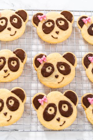 Photo for Icing panda-shaped shortbread cookies with chocolate icing. - Royalty Free Image