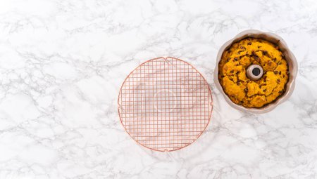 Téléchargez les photos : Pose plate. Refroidissement gâteau bundt de citrouille au chocolat fraîchement cuit sur un comptoir de cuisine. - en image libre de droit