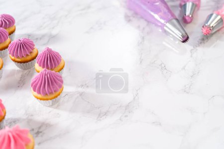 Foto de Piping ombre crema de mantequilla rosa glaseado en mini cupcakes de vainilla. - Imagen libre de derechos