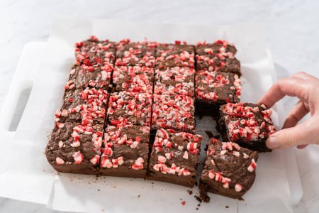 Téléchargez les photos : Découper des brownies à la menthe poivrée fraîchement cuits avec des pépites de menthe poivrée au chocolat en carrés. - en image libre de droit