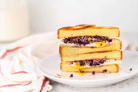 Téléchargez les photos : Petit déjeuner en tranches sandwich aux œufs et germes sur une assiette blanche. - en image libre de droit