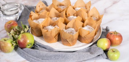 Téléchargez les photos : Muffin de pomme sharlotka fraîchement cuit saupoudré de sucre en poudre sur une assiette blanche. - en image libre de droit
