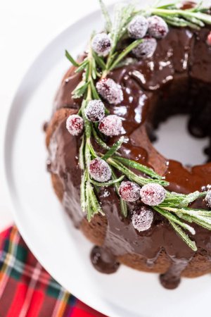 Téléchargez les photos : Gâteau au lapin au chocolat avec glaçage au chocolat décoré de canneberges fraîches et de romarin recouvert d'un sucre blanc. - en image libre de droit