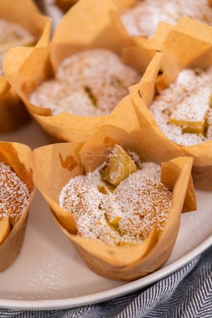 Téléchargez les photos : Muffin de pomme sharlotka fraîchement cuit saupoudré de sucre en poudre sur une assiette blanche. - en image libre de droit