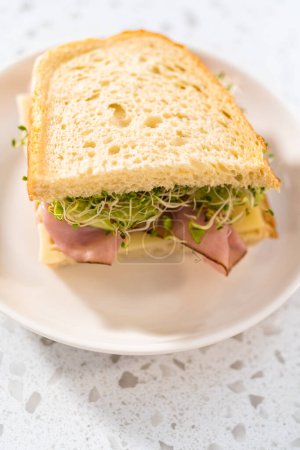 Téléchargez les photos : Sandwichs au jambon, concombre et germe sur la plaque blanche. - en image libre de droit