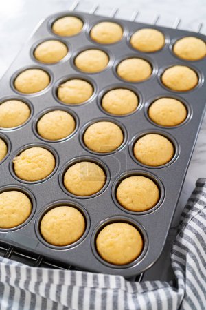 Foto de Enfriamiento recién horneado mini cupcakes de vainilla en un mostrador de cocina. - Imagen libre de derechos