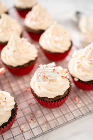 Photo for Piping peppermint buttercream frosting on top of the chocolate cupcakes and decorating with crushed peppermint candy cane candies. - Royalty Free Image