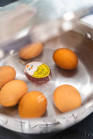 Téléchargez les photos : Faire bouillir les œufs biologiques dans une casserole pour préparer les œufs durs. - en image libre de droit