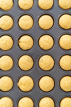 Téléchargez les photos : Mini cupcakes à la vanille fraîchement cuits sur un comptoir de cuisine. - en image libre de droit