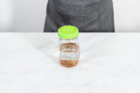 Téléchargez les photos : Jour 1. Culture de germes biologiques dans un bocal en maçon avec couvercle sur le comptoir de la cuisine. - en image libre de droit