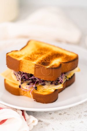 Téléchargez les photos : Petit déjeuner sandwich aux œufs et germes sur une assiette blanche. - en image libre de droit