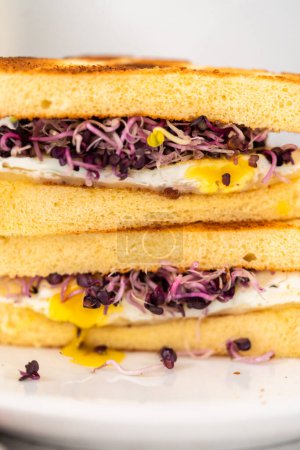 Téléchargez les photos : Petit déjeuner en tranches sandwich aux œufs et germes sur une assiette blanche. - en image libre de droit