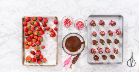 Téléchargez les photos : Pose plate. Tremper les fraises dans le chocolat fondu pour préparer des fraises recouvertes de chocolat. - en image libre de droit