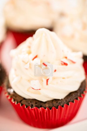 Photo for Freshly baked chocolate cupcakes with peppermint frosting and decorating with crushed peppermint candy cane candies. - Royalty Free Image