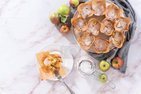 Téléchargez les photos : Pose plate. Manger des pommes fraîchement cuites sharlotka muffin saupoudré de sucre en poudre. - en image libre de droit
