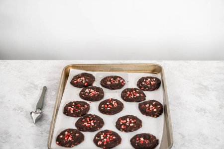 Téléchargez les photos : Refroidissement des biscuits au chocolat fraîchement cuits avec des copeaux de menthe poivrée sur un comptoir de cuisine. - en image libre de droit