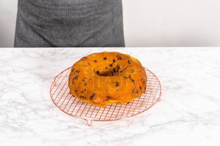 Téléchargez les photos : Refroidissement gâteau bundt de citrouille au chocolat fraîchement cuit sur un comptoir de cuisine. - en image libre de droit