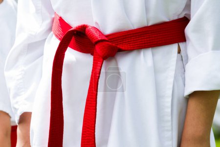 Photo for Tae Kwon Do student practicing in the park. - Royalty Free Image