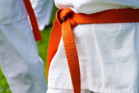 Photo for Tae Kwon Do student practicing in the park. - Royalty Free Image