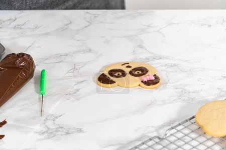 Téléchargez les photos : Biscuits sablés glacés en forme de panda avec glaçage au chocolat. - en image libre de droit