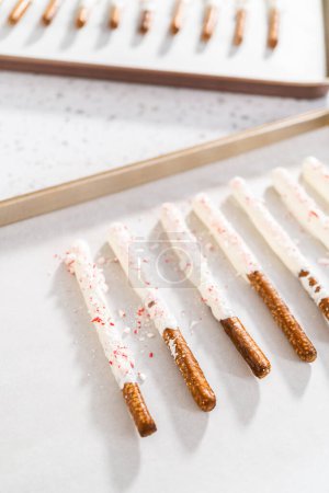 Photo for Homemade candy cane chocolate-covered pretzel rods are drying on a baking sheet lined with parchment paper. - Royalty Free Image