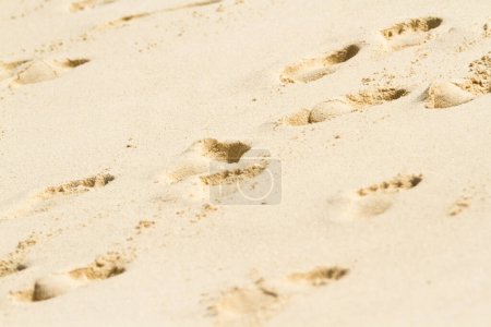 Photo for Beach of the Caribbean Sea in daytime. - Royalty Free Image