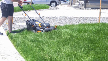 Photo for Castle Rock, Colorado, USA-June 25, 2023- At a residential suburban house, a lush green lawn is meticulously mowed using an electric lawn mower, creating a well-manicured and inviting outdoor space. - Royalty Free Image