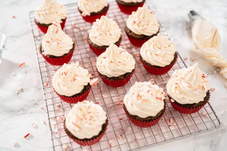 Photo for Piping peppermint buttercream frosting on top of the chocolate cupcakes and decorating with crushed peppermint candy cane candies. - Royalty Free Image