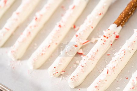 Photo for Homemade candy cane chocolate-covered pretzel rods are drying on a baking sheet lined with parchment paper. - Royalty Free Image