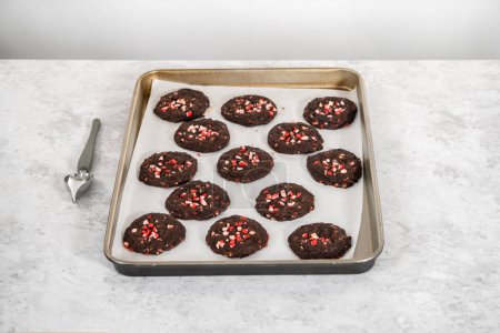 Téléchargez les photos : Refroidissement des biscuits au chocolat fraîchement cuits avec des copeaux de menthe poivrée sur un comptoir de cuisine. - en image libre de droit
