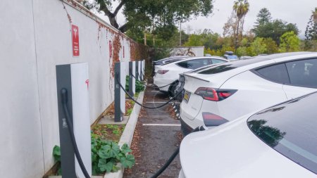 Photo for Los Angeles, California, USA-December 4, 2022-POV-At the Tesla Supercharging station in Miramar Beach, California, a line of sleek electric cars efficiently recharge their batteries. - Royalty Free Image