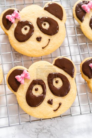 Téléchargez les photos : Biscuits sablés glacés en forme de panda avec glaçage au chocolat. - en image libre de droit