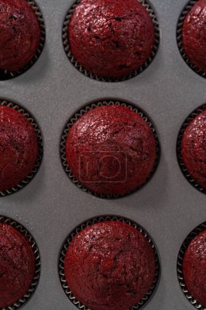 Photo for Cooling freshly baked red velvet cupcakes on a kitchen counter. - Royalty Free Image