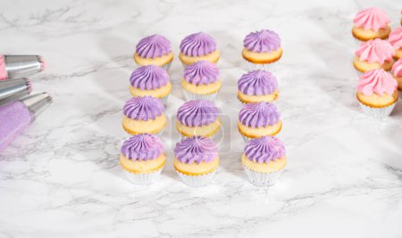 Photo for Piping ombre pink buttercream frosting on mini vanilla cupcakes. - Royalty Free Image