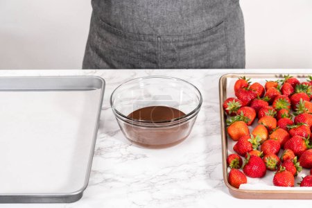Téléchargez les photos : Tremper les fraises dans le chocolat fondu pour préparer des fraises recouvertes de chocolat. - en image libre de droit