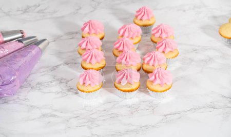Foto de Piping ombre crema de mantequilla rosa glaseado en mini cupcakes de vainilla. - Imagen libre de derechos