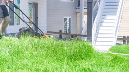 Photo for At a residential suburban house, a lush green lawn is meticulously mowed using an electric lawn mower, creating a well-manicured and inviting outdoor space. - Royalty Free Image
