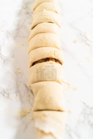 Téléchargez les photos : Coupe de pâte à pain roulée remplie de cannelle et de pacanes hachées en petits rouleaux pour cuire des cupcakes à la cannelle sans levure. - en image libre de droit
