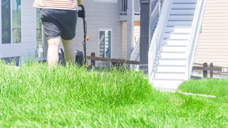 Photo for At a residential suburban house, a lush green lawn is meticulously mowed using an electric lawn mower, creating a well-manicured and inviting outdoor space. - Royalty Free Image