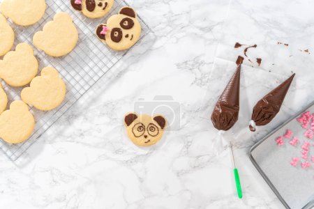 Photo for Flat lay. Icing panda-shaped shortbread cookies with chocolate icing. - Royalty Free Image