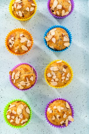 Téléchargez les photos : Muffins de graines de pavot citron fraîchement cuits garnis de lamelles d'amande sur le comptoir de la cuisine. - en image libre de droit